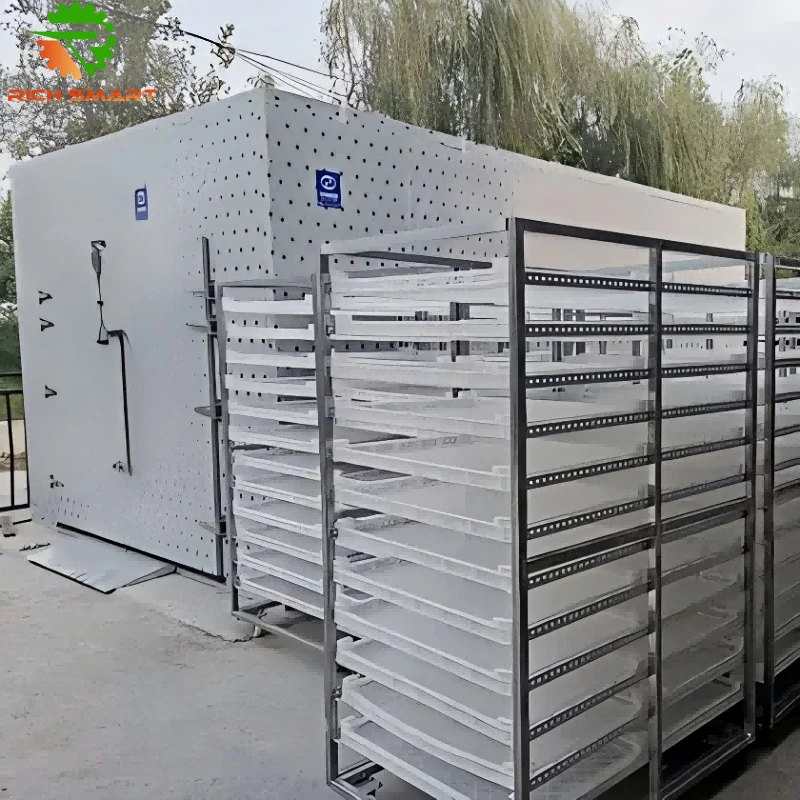 Industrial Dehydrator Machine